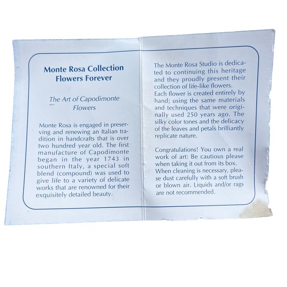 VTG Monte Rose Authentic The Art of‎ Capodimonte Porcelain Flowers Made in Italy - Picture 7 of 8